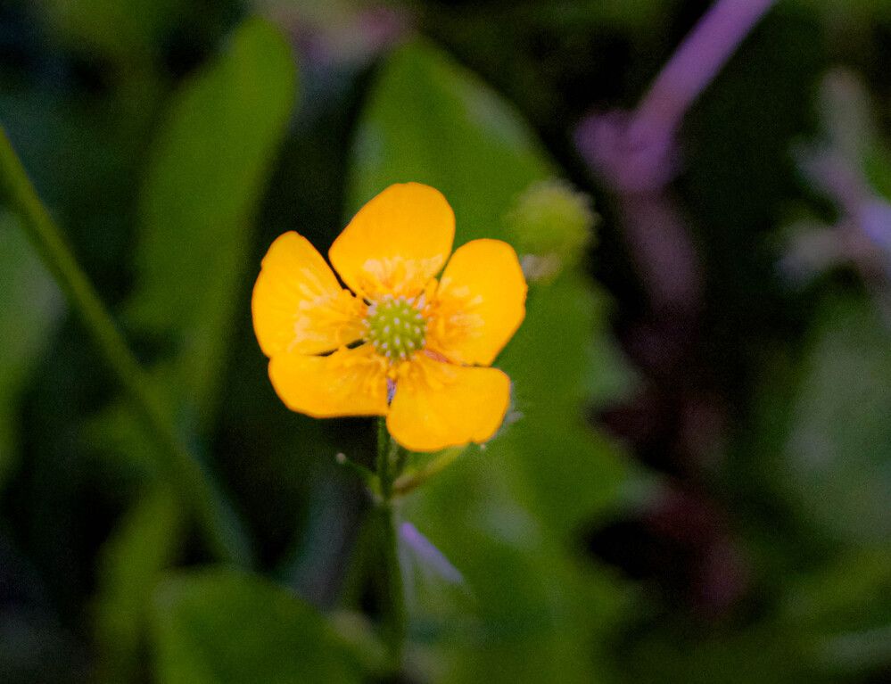 Photograph by Альберт Габбасов