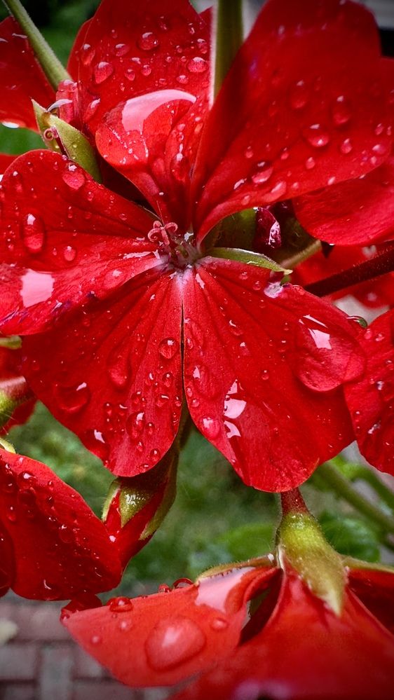 Photograph by Ольга Бибекина