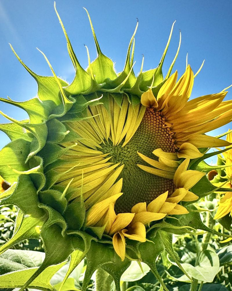 Photograph by Ольга Бибекина