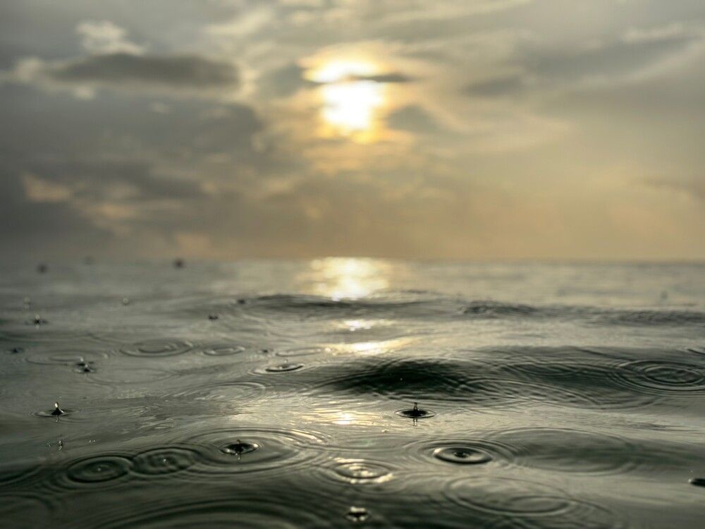 Фотография автора Natalia Kuzmina