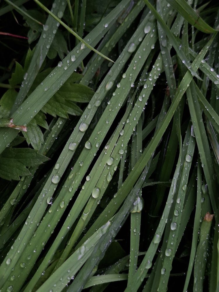 Photograph by Катерина Солдатова