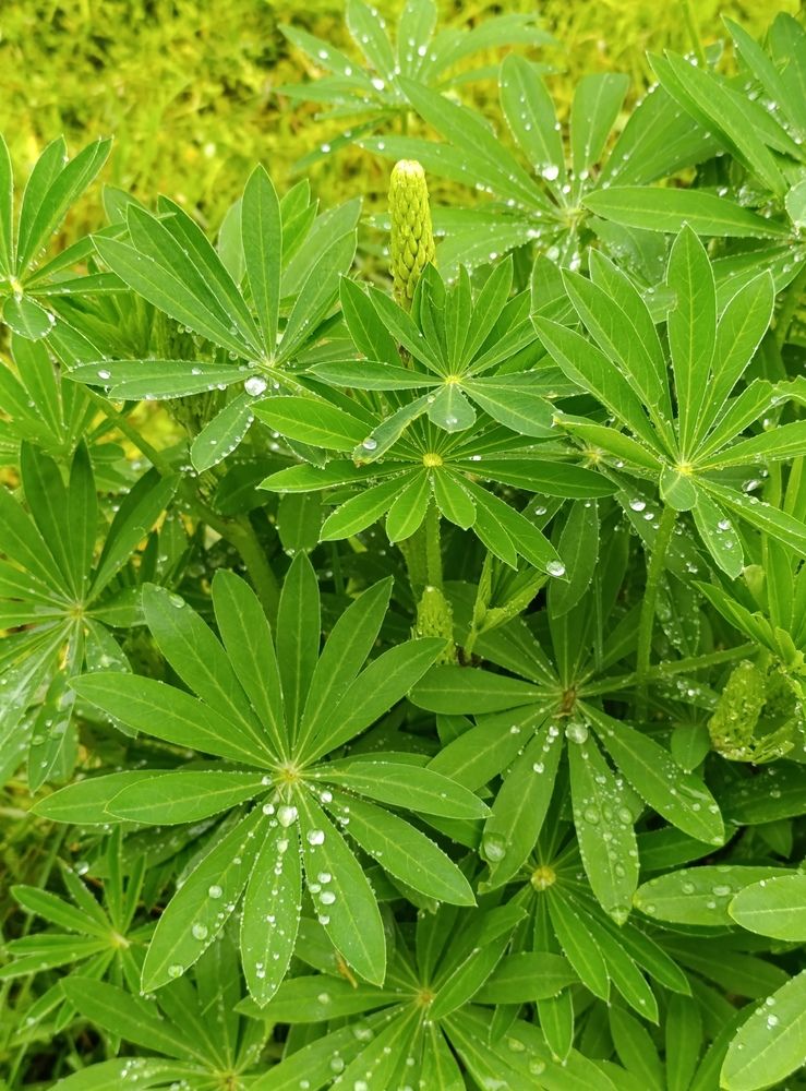 Photograph by Екатерина Супраненок