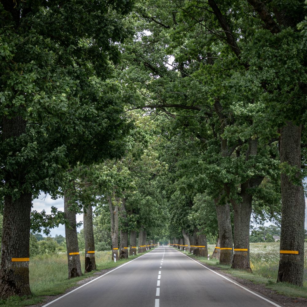 Photograph by Lapin Vitaly