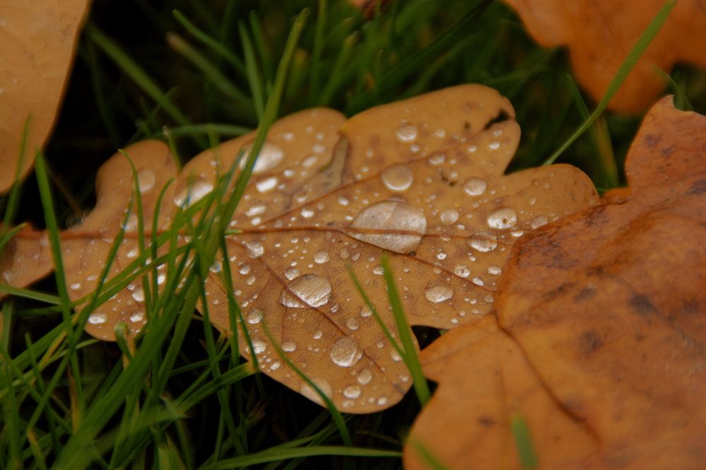 Фотография автора Sergej Roor