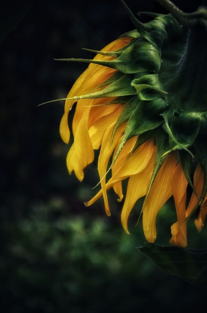 Photograph by Зыкова Мария