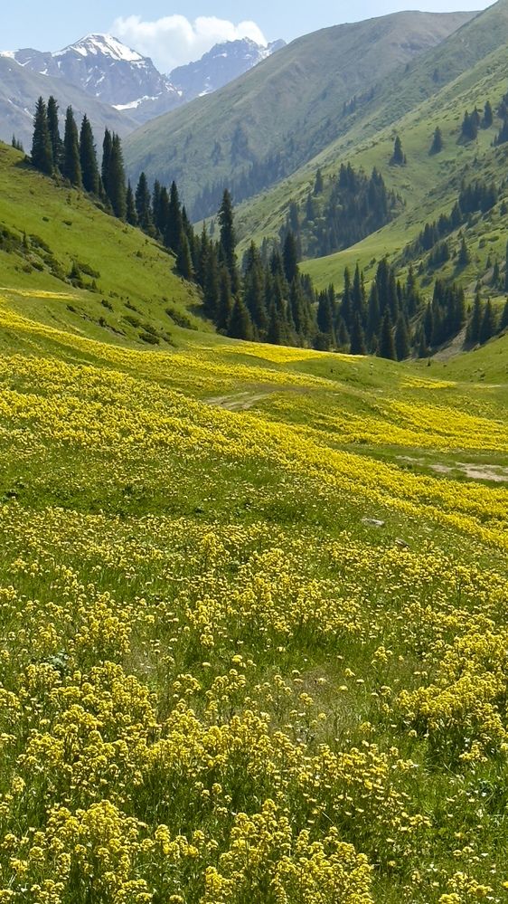 Photograph by Ольга Бибекина