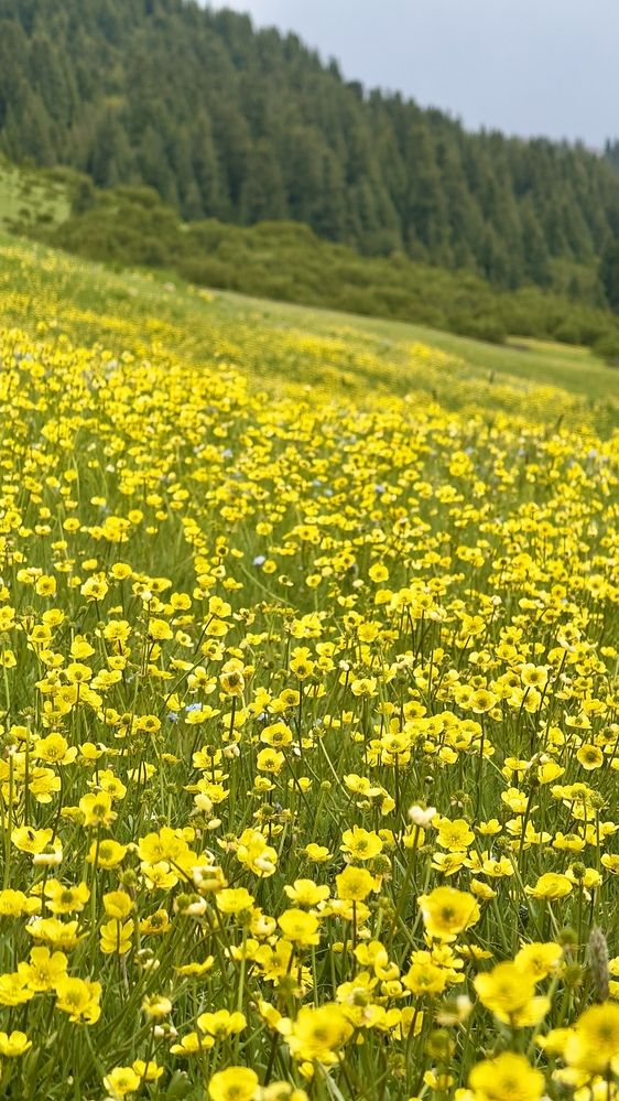 Photograph by Ольга Бибекина