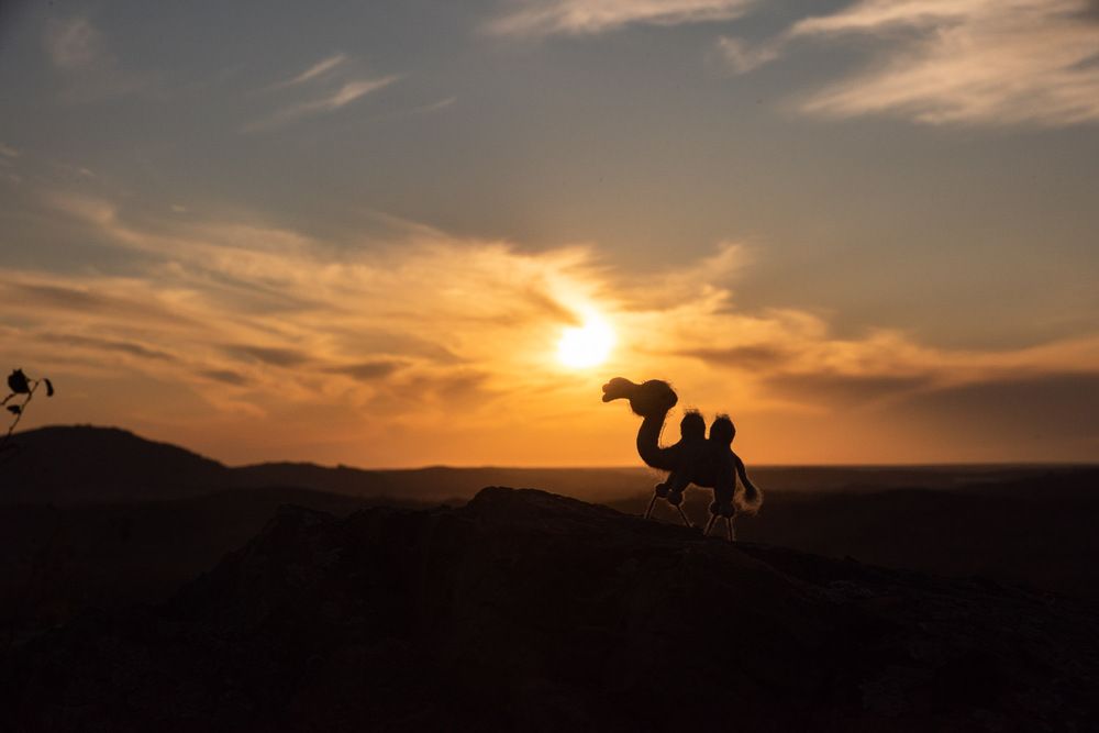 Photograph by Ирина Яук