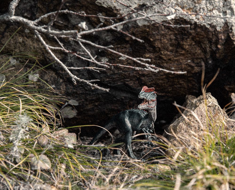 Photograph by Ирина Яук