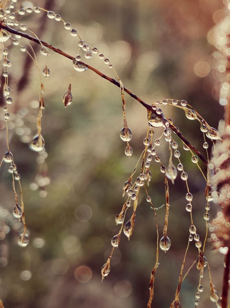 Photograph by Инна Мухина