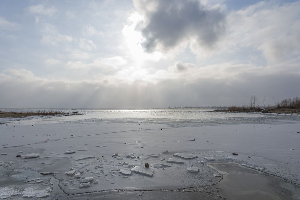 Фотография автора Шульга Александр