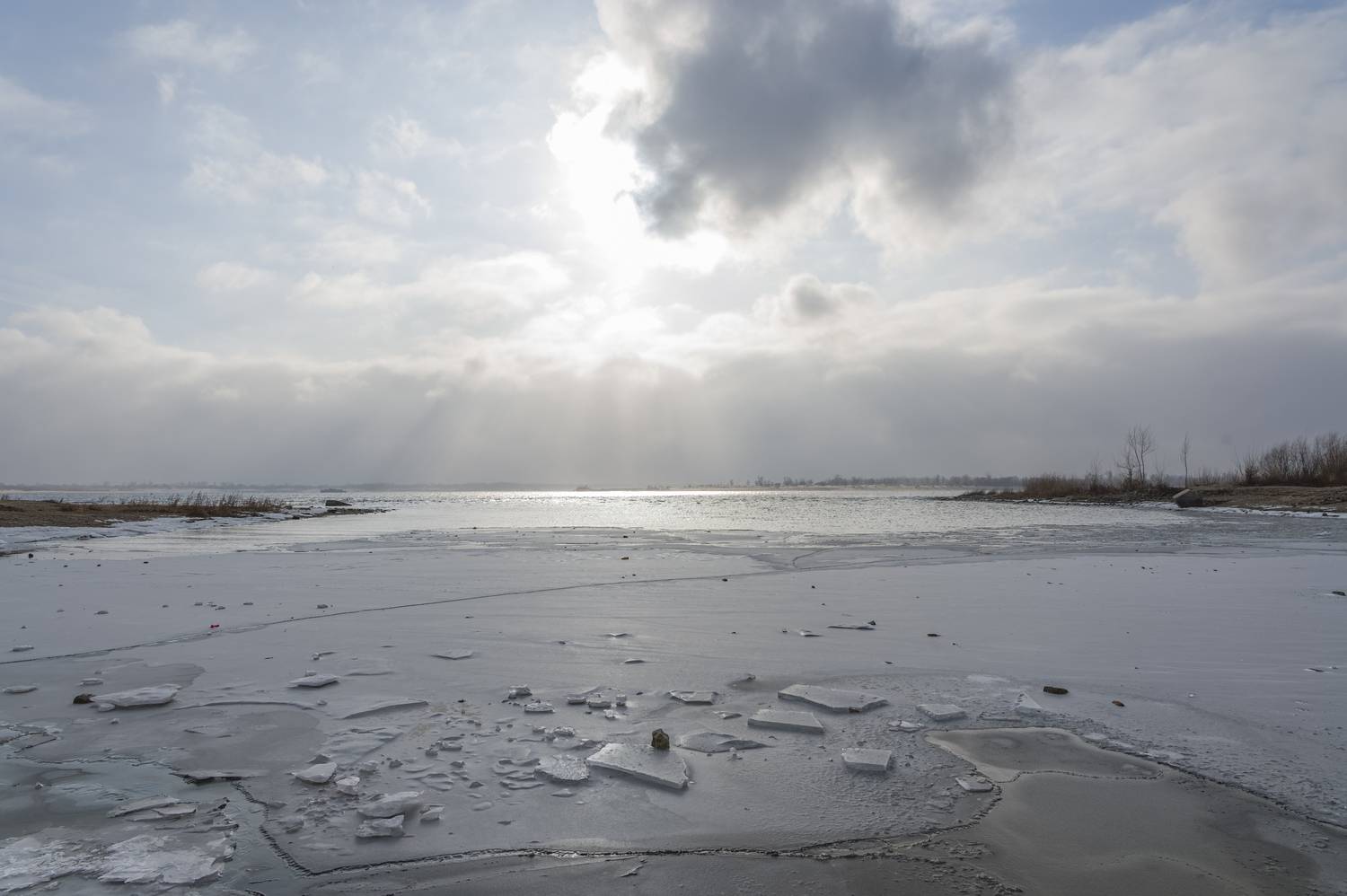 Фотография #12596623