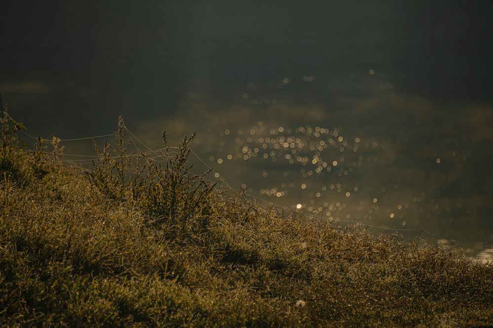 Photograph by Ирина Регульская