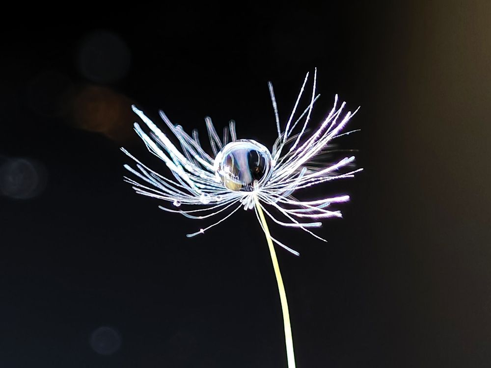 Photograph by Надежда Кангина