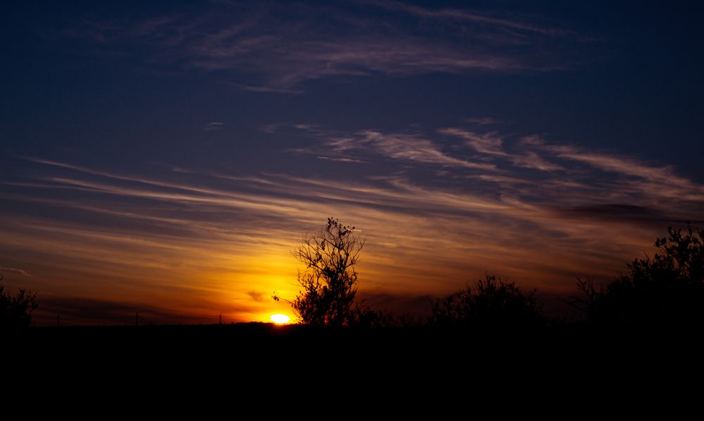 Photograph by Дмитрий Тютюнник