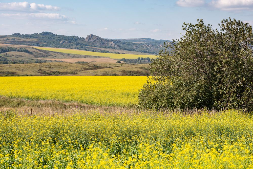 Photograph by Ирина Яук