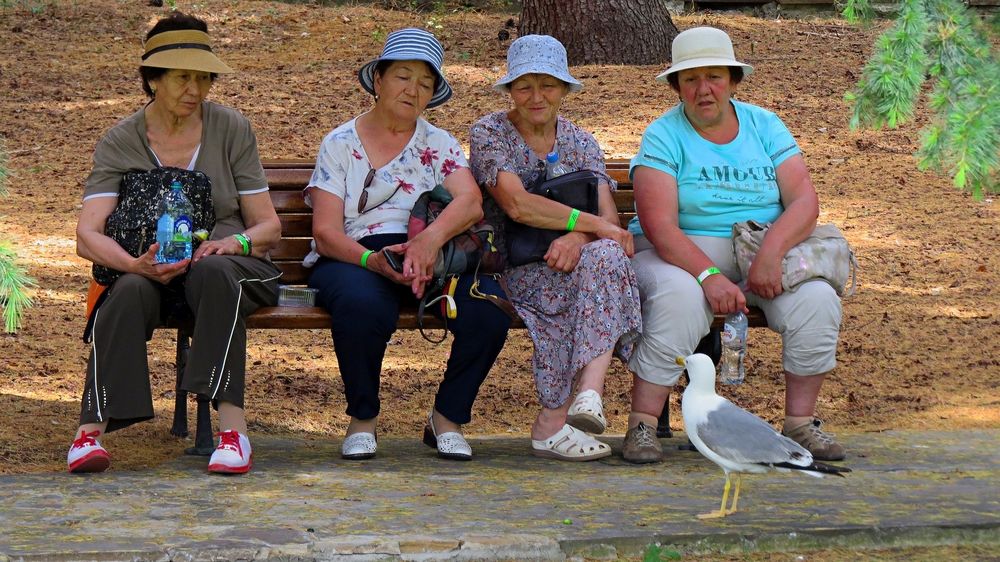 Строгое жюри