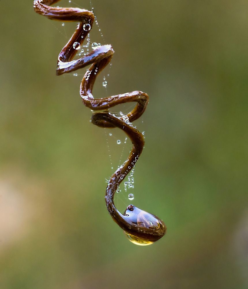 Фотография автора Борис Журавлёв