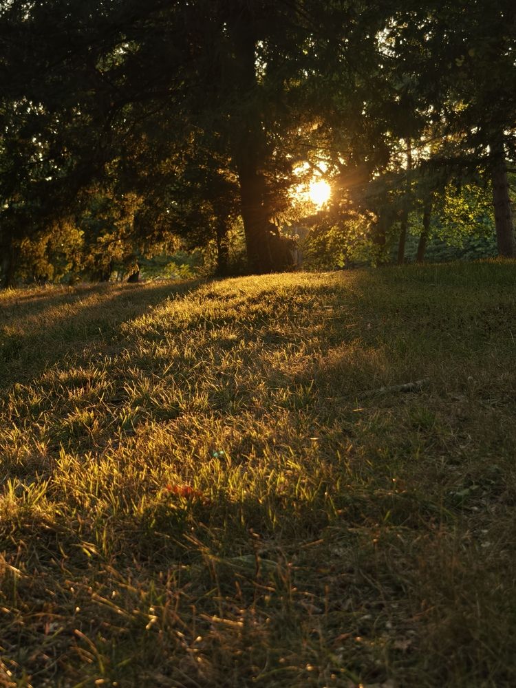 Photograph by Светлана Мишенина