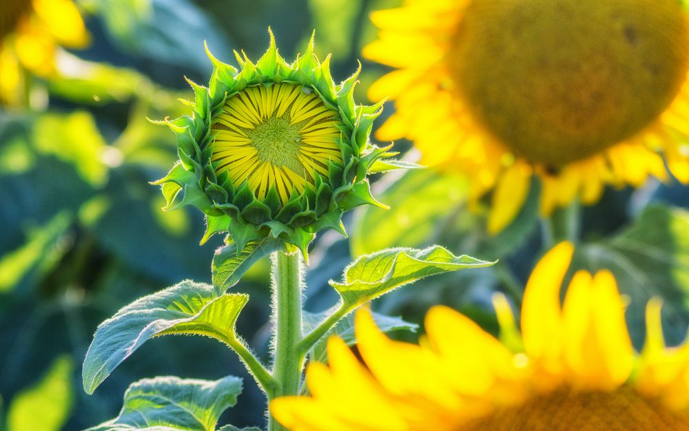 Photograph by Сергей Дишук