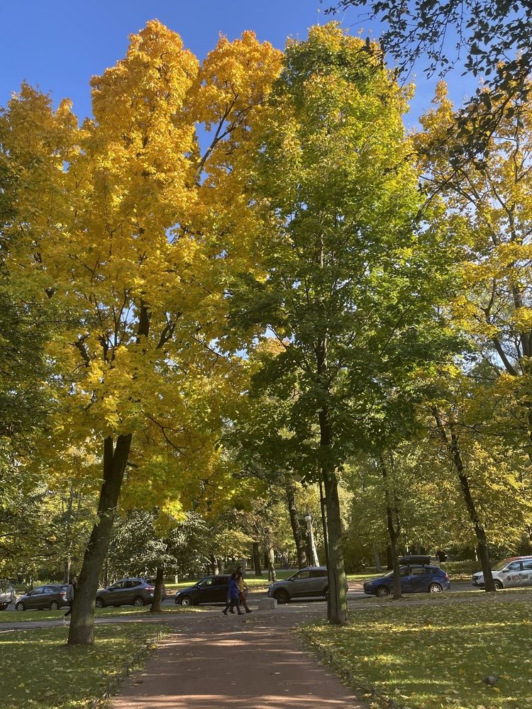 Photograph by марина