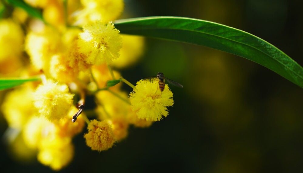 Photograph by Дмитрий Куркулин