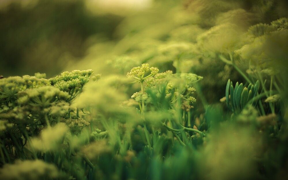 Photograph by Дмитрий Куркулин