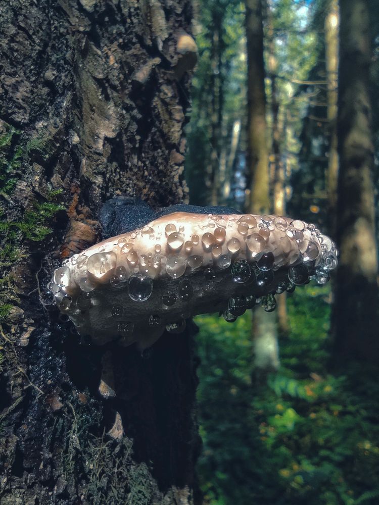 Photograph by Вячеслав Щёголев