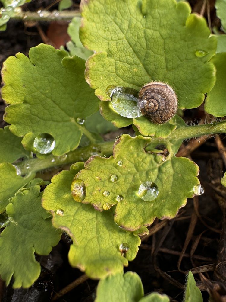 Photograph by Аверьянова Наталья