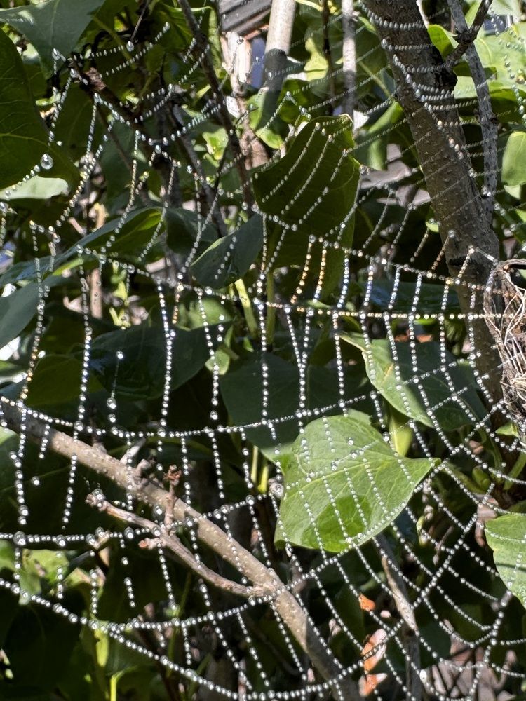 Photograph by Аверьянова Наталья