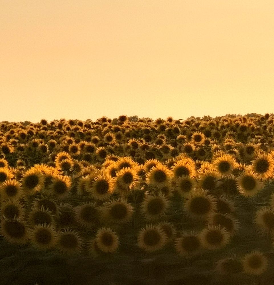 Photograph by Наталья Лощилина