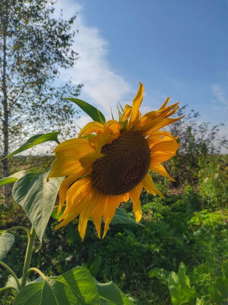 Photograph by Вячеслав Щёголев