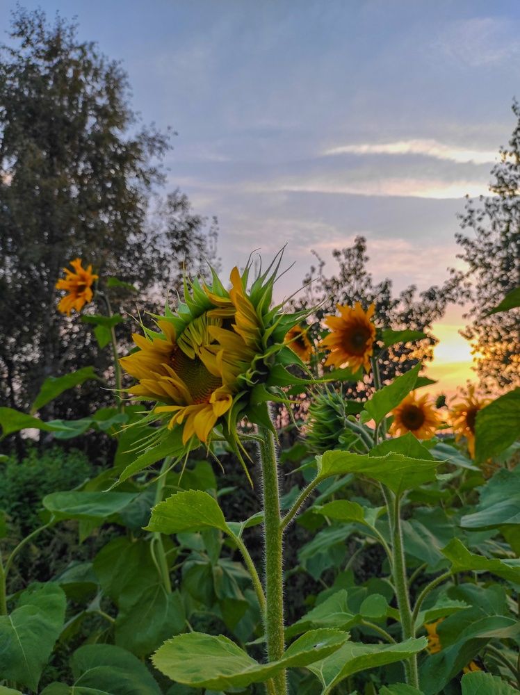 Photograph by Вячеслав Щёголев