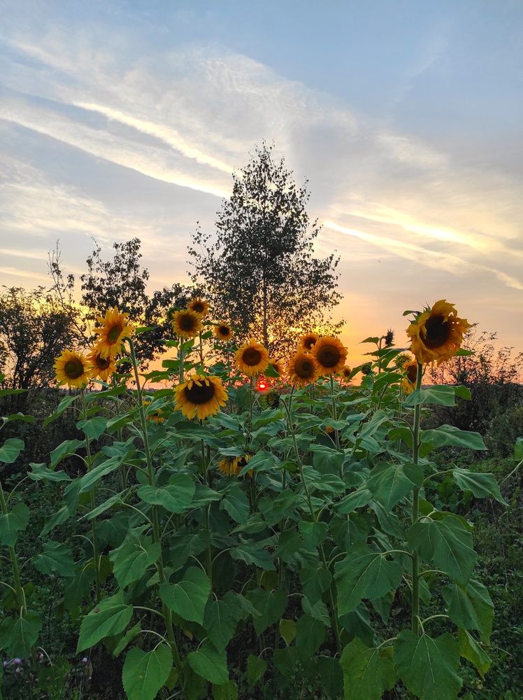 Photograph by Вячеслав Щёголев