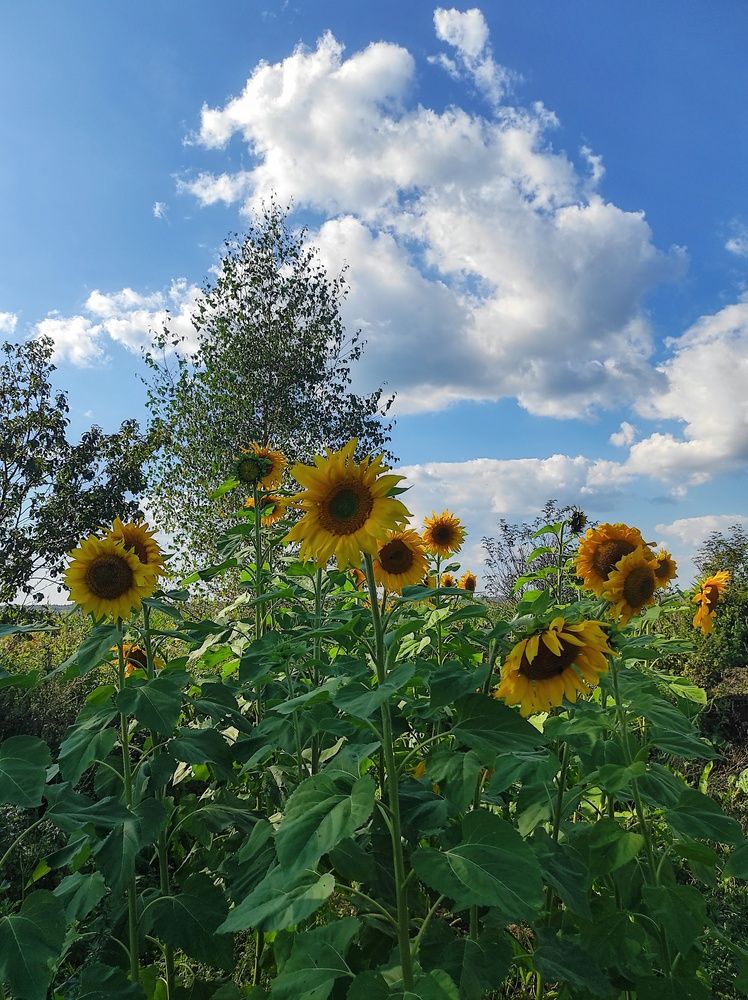 Photograph by Вячеслав Щёголев