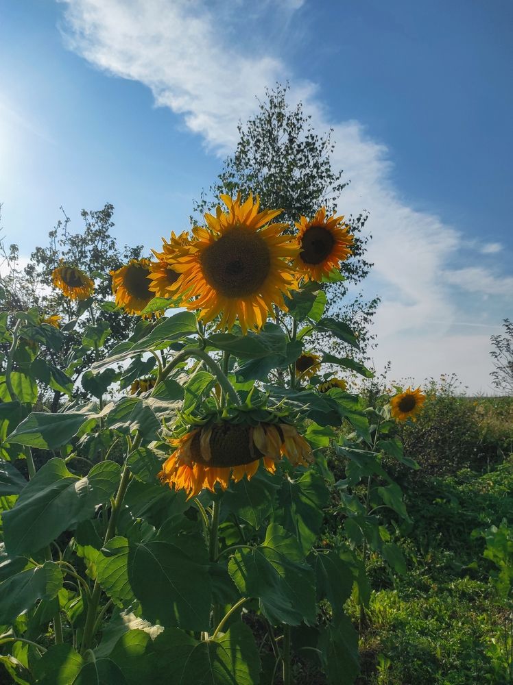 Photograph by Вячеслав Щёголев