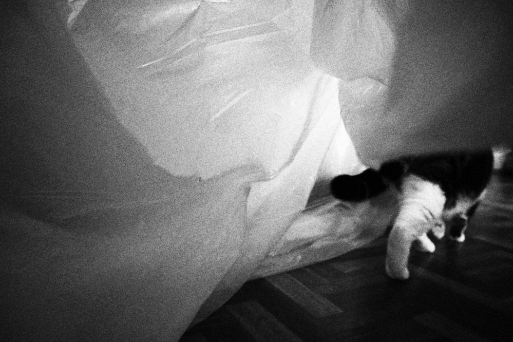 Photograph by Кристина Альшанская