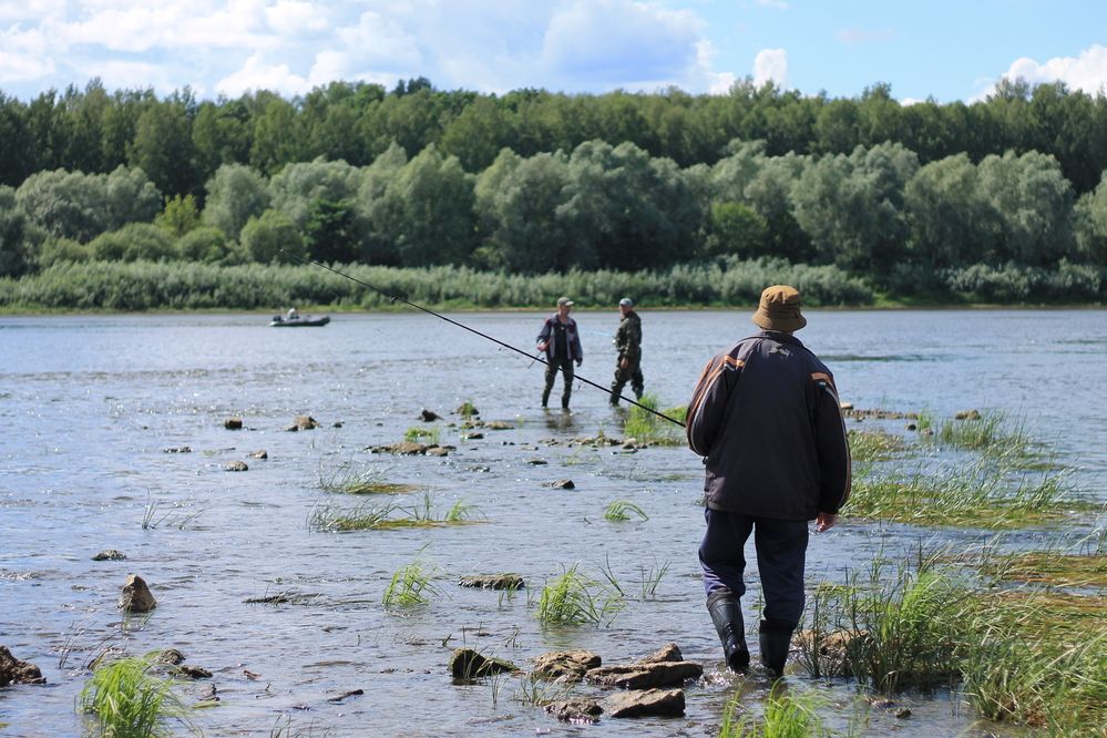 Photograph by Кристина Альшанская