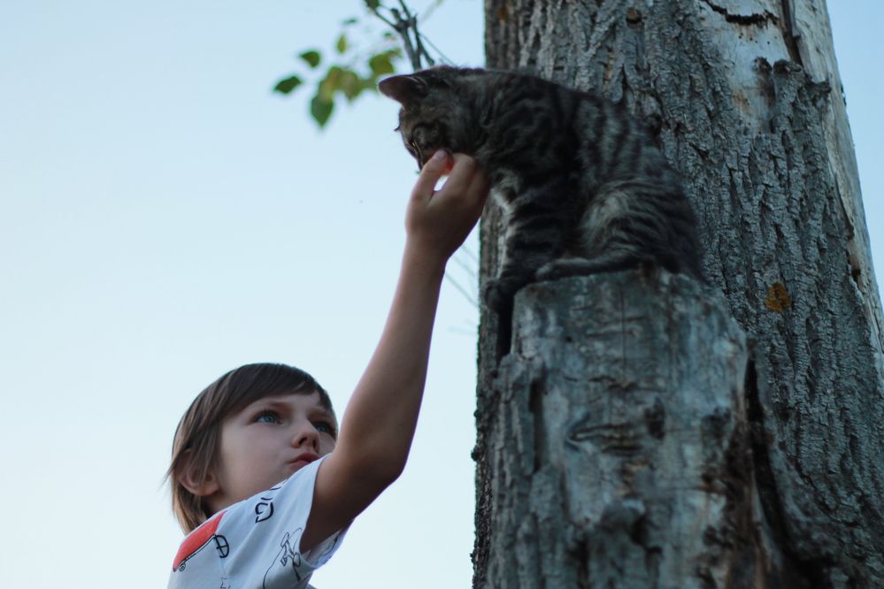 Фотография автора Кристина Альшанская