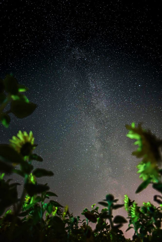 Photograph by Ljudmilla Pavljutsenkova