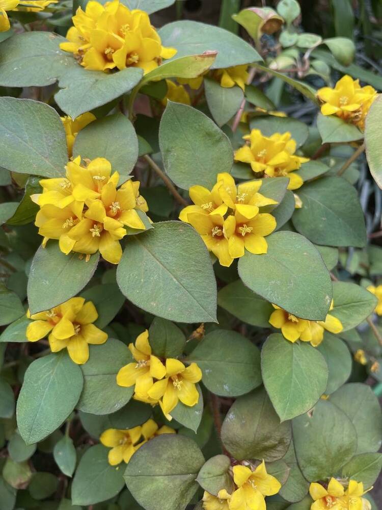 Photograph by марина