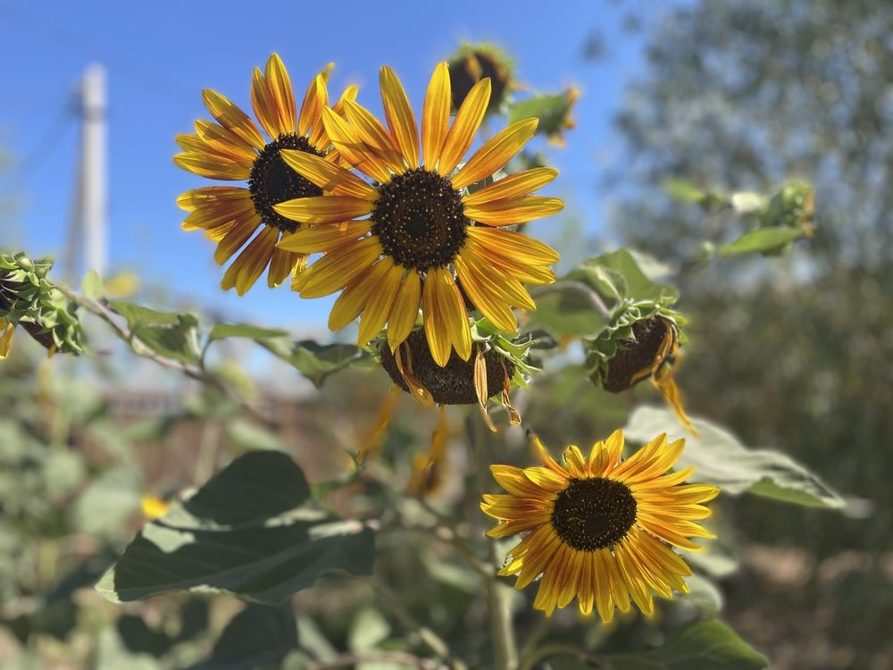 Photograph by марина