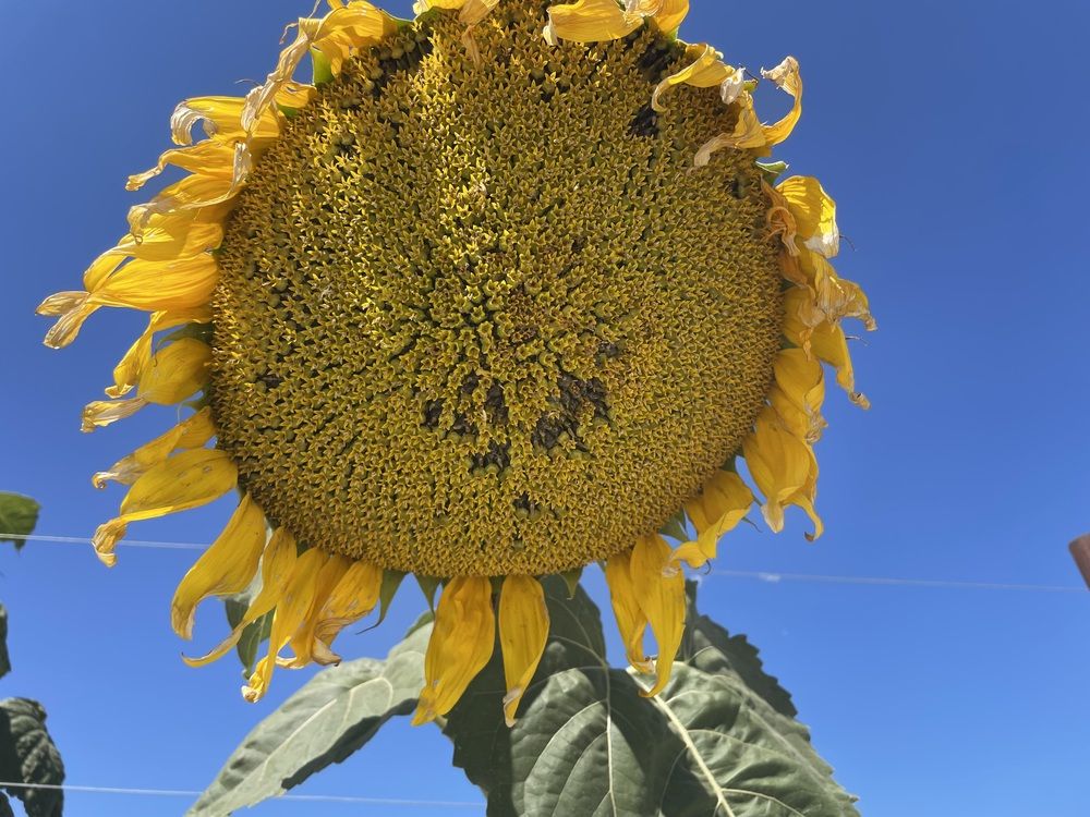 Photograph by марина