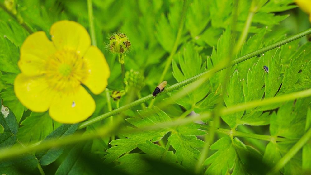 Photograph by Александр Климов