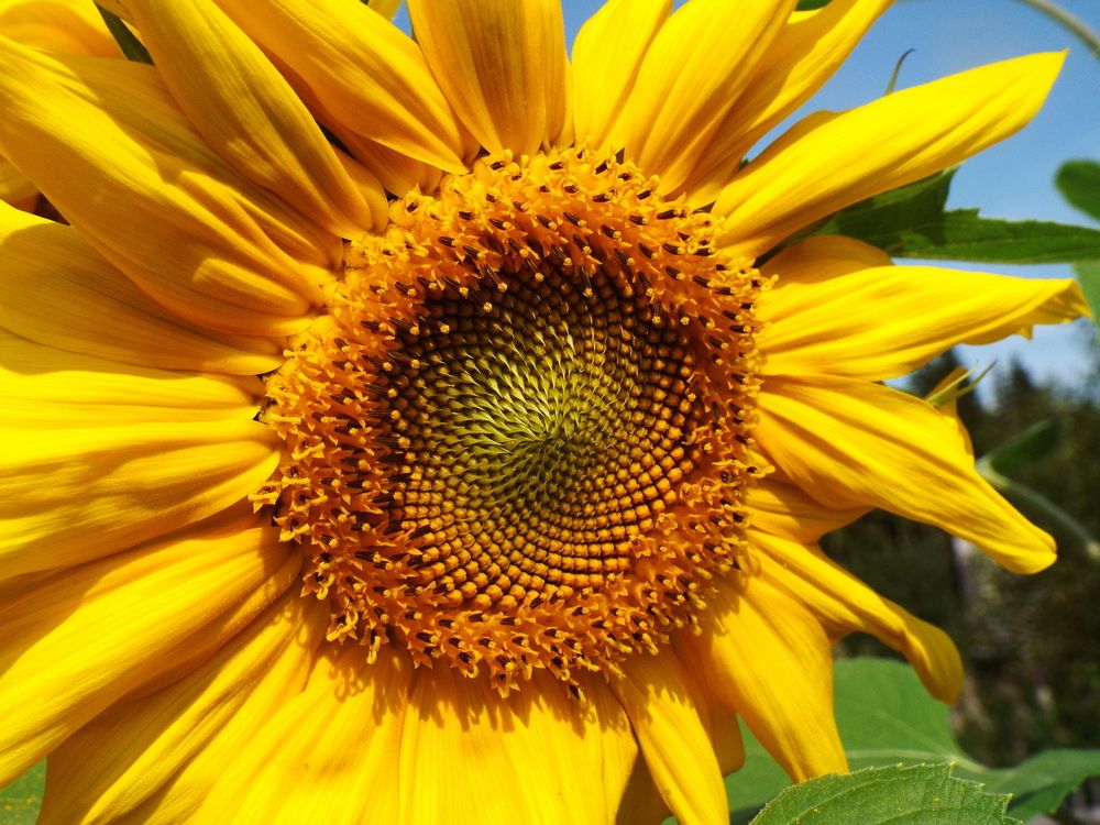 Photograph by Александр Бастраков