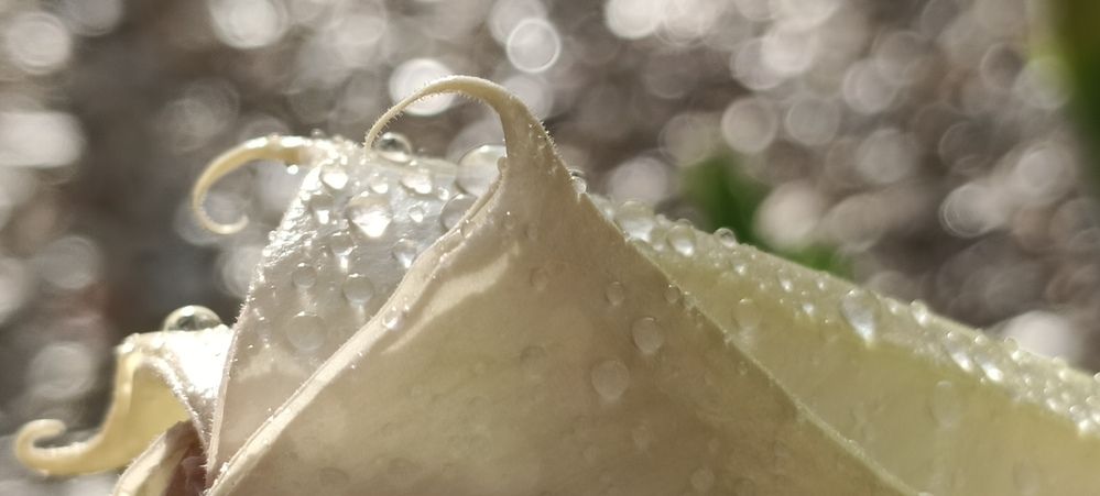 Photograph by Татьяна Стаскевич