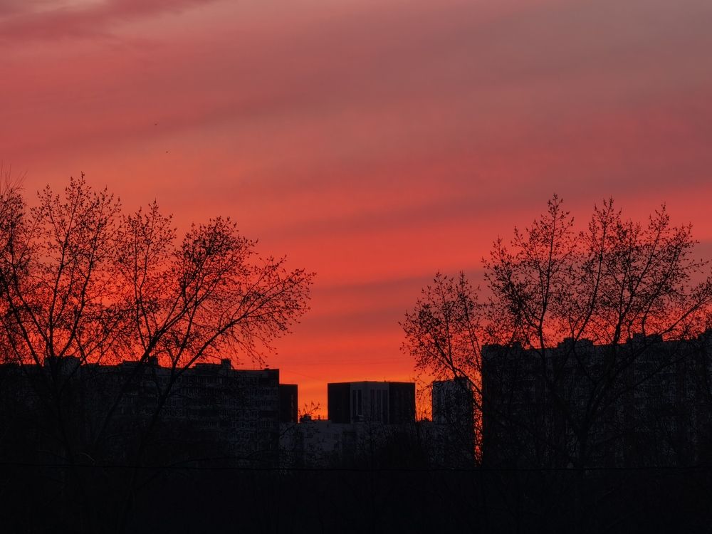 Photograph by Серафима Силина