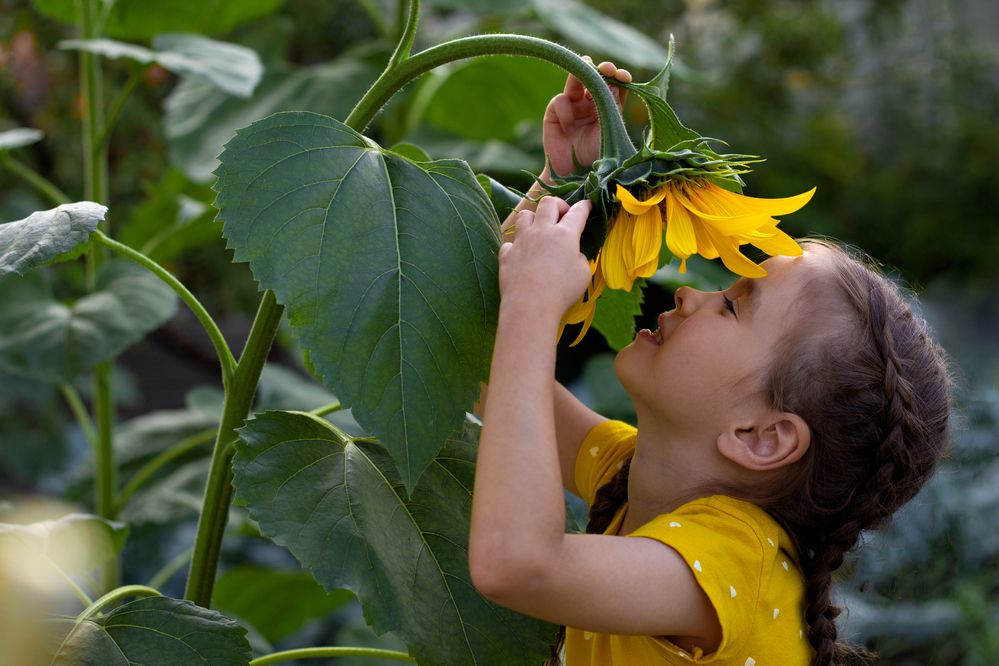 Photograph by Наталья Мартынова