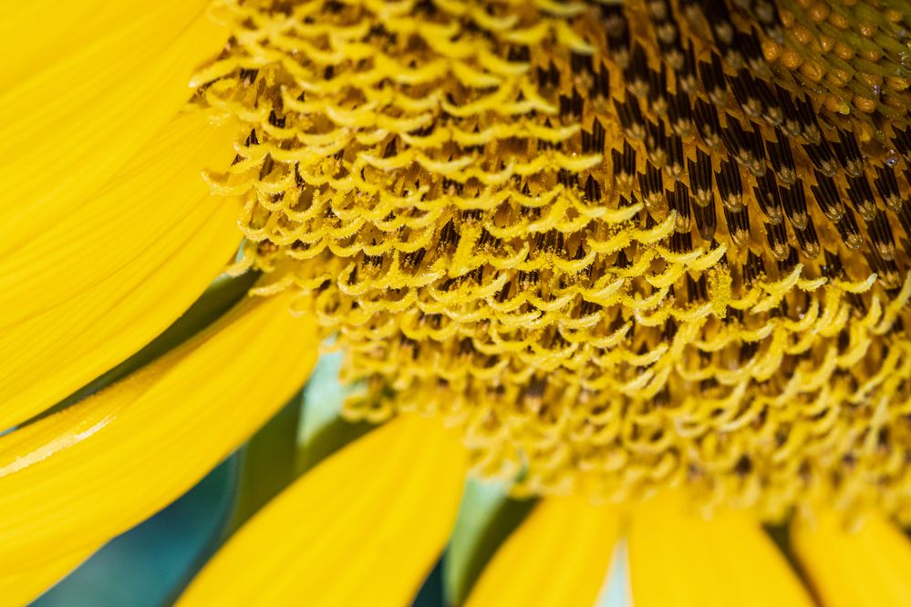 Photograph by Анатолий Костерев