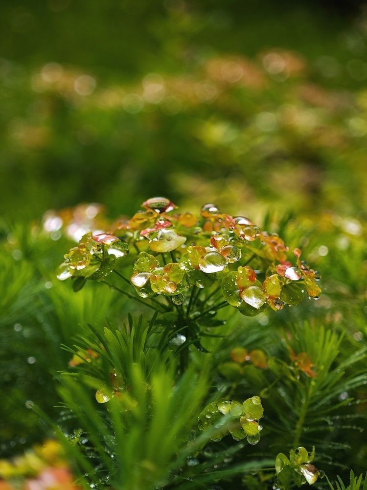 Photograph by Татьяна Соколовская